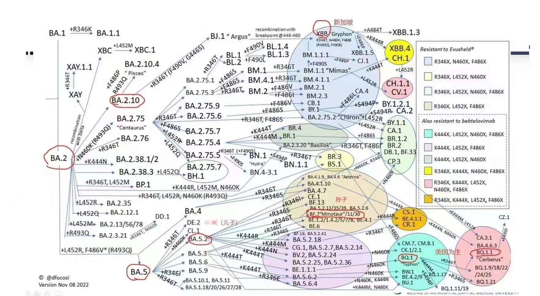 陽了哪些事情不能做？感染新冠康復(fù)之后哪些事要注意？