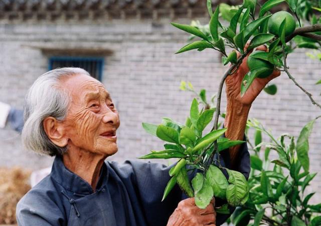 長(zhǎng)壽的人有哪些特點(diǎn)？年紀(jì)大了如何養(yǎng)生？