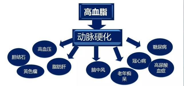 高血脂一般會產(chǎn)生什么樣的危害呢？高血脂有什么危害？